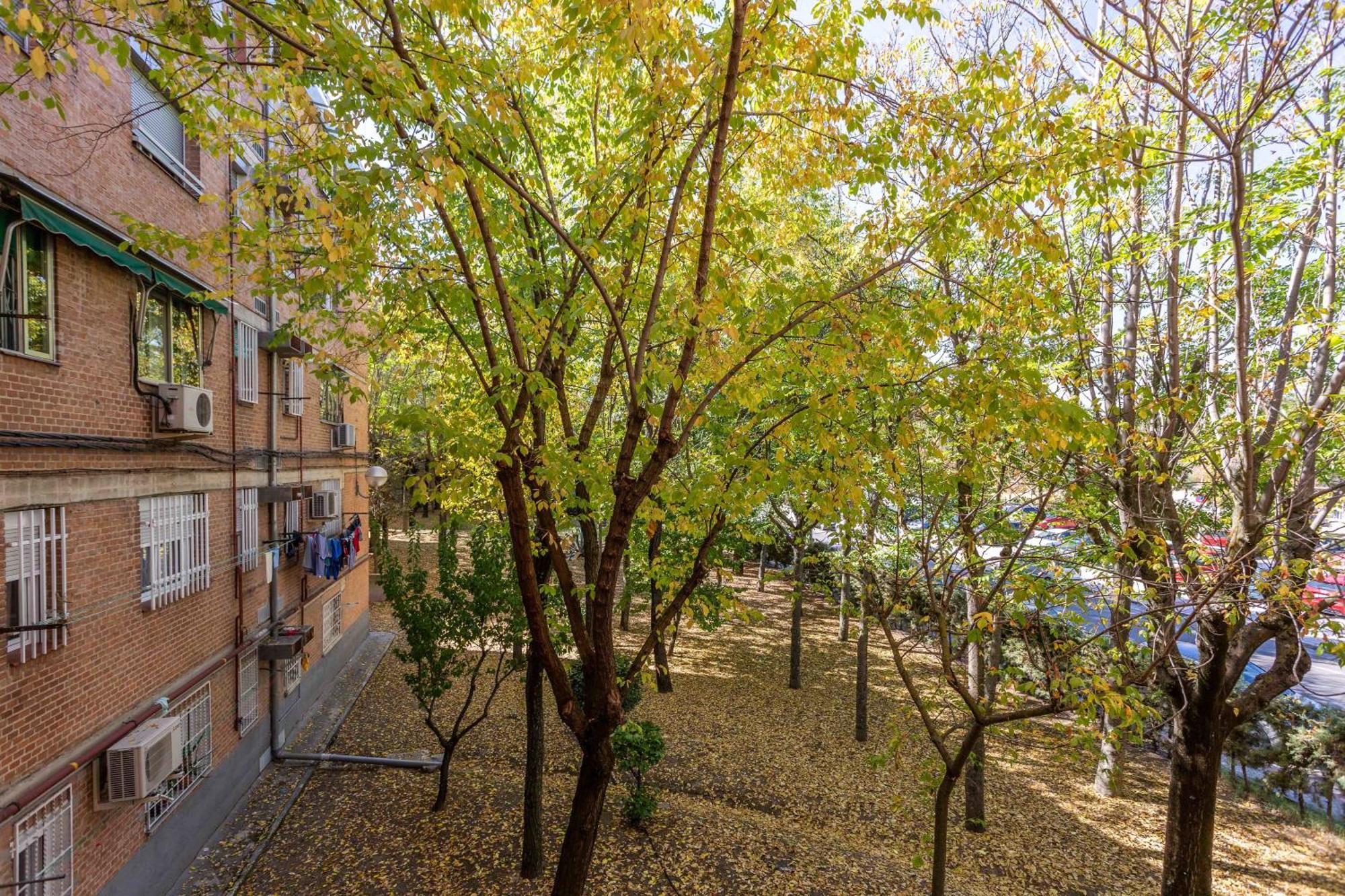 Apartamento 3 Habs Madrid Az10 Exterior photo